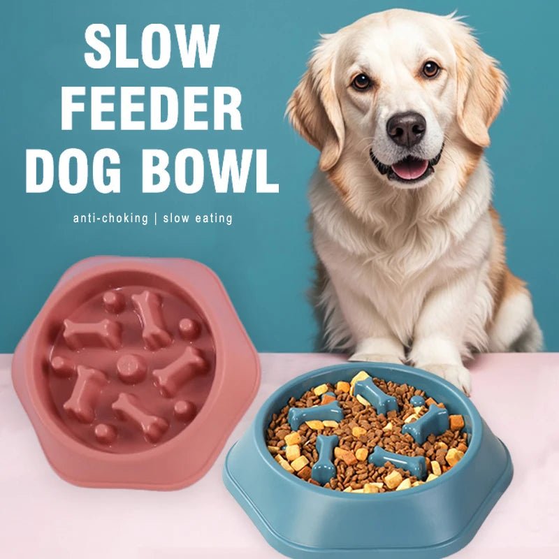 Slow Feeder Dog Bowl - Anti-Choking Puzzle Bowl Bowls Anti-Choking Easy to Clean Interactive Slow Feeder Small Medium Dogs PetLiveliest