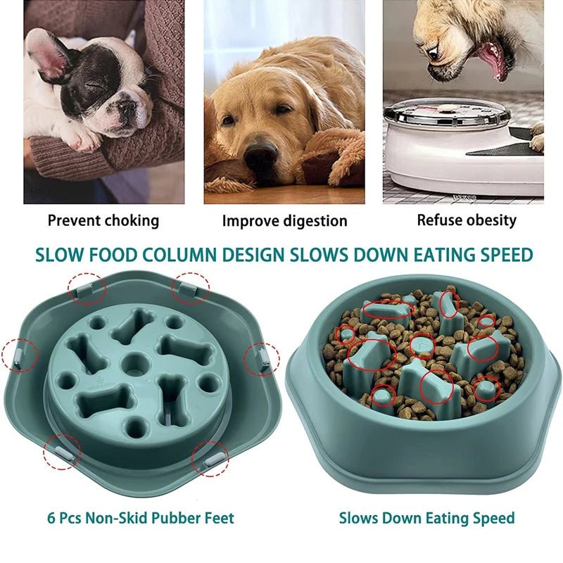 Slow Feeder Dog Bowl - Anti - Choking Puzzle Bowl - PetLiveliest - PetLiveliest - Anti - Choking - Easy to Clean - Interactive