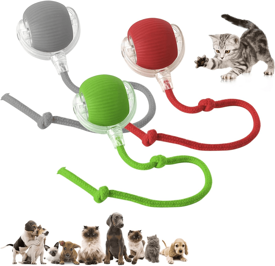 Smart Rechargeable Dog Ball Toy - PetLiveliest - PetLiveliest