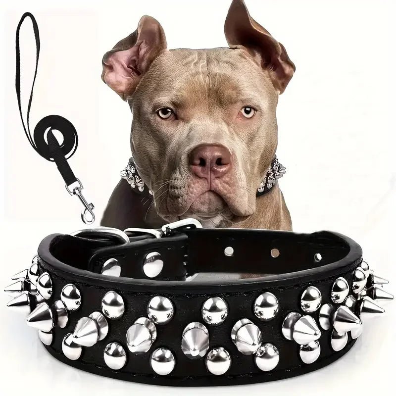 Spiked Leather Dog Collar Set - PetLiveliest - PetLiveliest