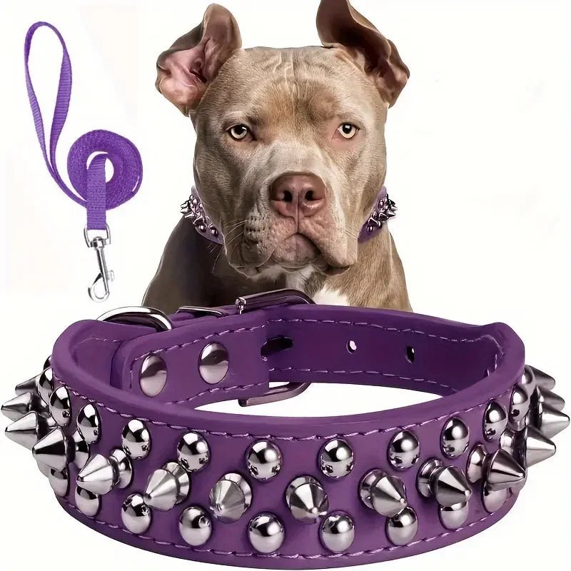 Spiked Leather Dog Collar Set - PetLiveliest - PetLiveliest - 可調節 - 寵物項圈 - 戶外