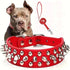 Spiked Leather Dog Collar Set - PetLiveliest - PetLiveliest - 可調節 - 寵物項圈 - 戶外