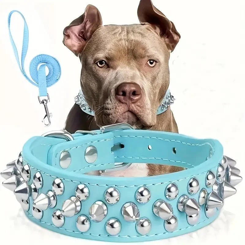 Spiked Leather Dog Collar Set - PetLiveliest - PetLiveliest - 可調節 - 寵物項圈 - 戶外