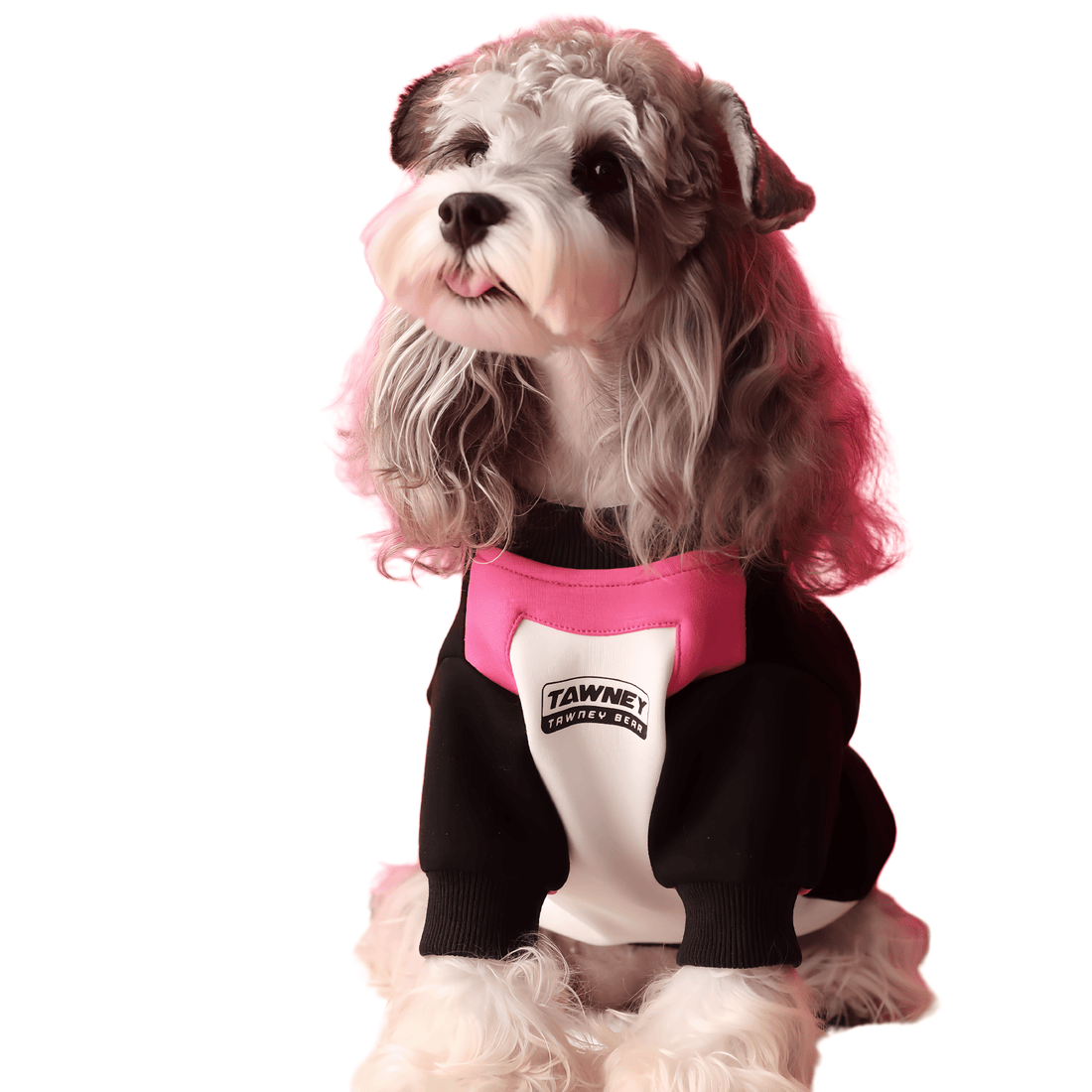 Stitching Zipper Dog Sweater - PetLiveliest - PetLiveliest - 宠物保暖 - 拉链毛衣 - 棉质