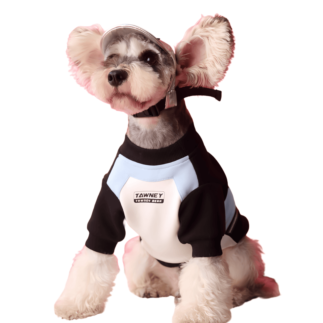 Stitching Zipper Dog Sweatshirt - PetLiveliest - PetLiveliest