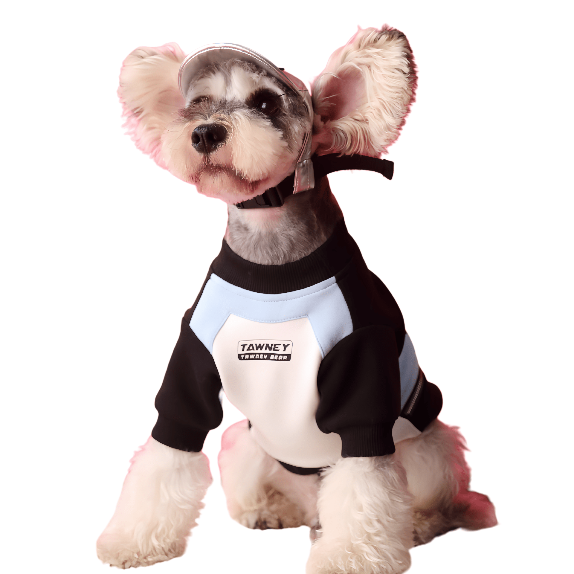 Stitching Zipper Dog Sweater - PetLiveliest - PetLiveliest - 宠物保暖 - 拉链毛衣 - 棉质