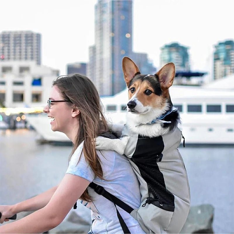 Strong Nylon Dog Cycling Carrier Backpack High Quality Breathable - PetLiveliest - PetLiveliest - Breathable - Cycling - Medium Dogs