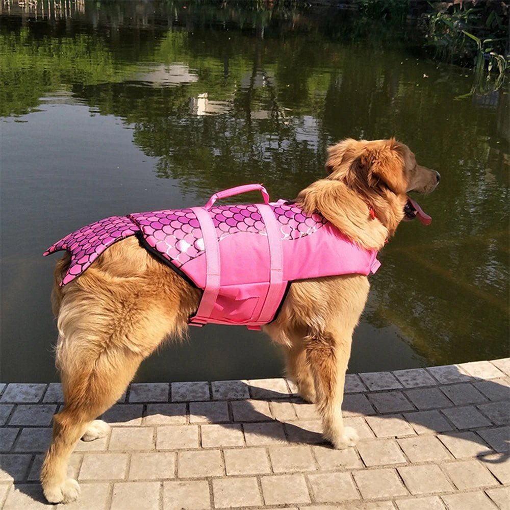 Summer Shark Dog Life Vest - PetLiveliest - PetLiveliest - 互动玩具 - 宠物游泳服 - 狗救生衣