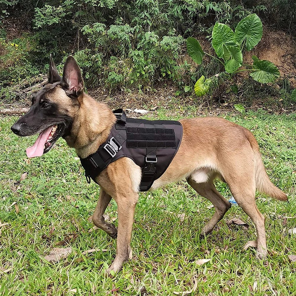 Tactical Dog Harness Military K9 - PetLiveliest - PetLiveliest - 1050D Nylon Material - Large German Shepherd - Military K9