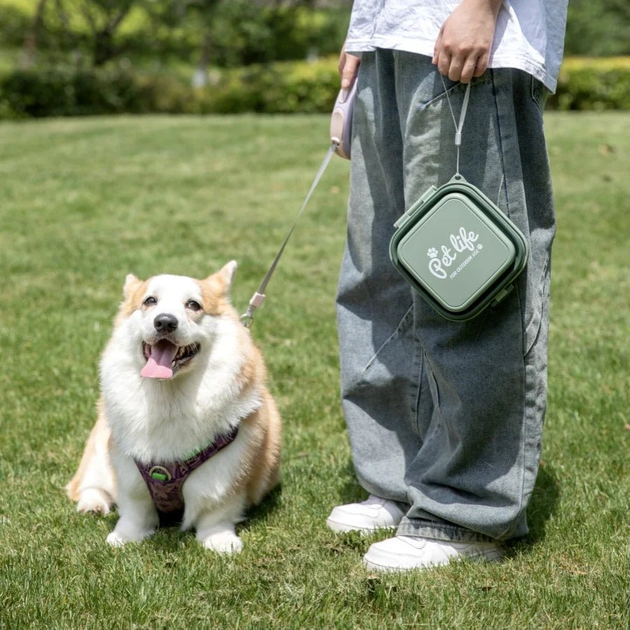 Thickened Folding Pet Bowls Outdoor Double Bowls Tableware Travel Feeder - PetLiveliest - PetLiveliest - 双碗 - 宠物用具 - 户外