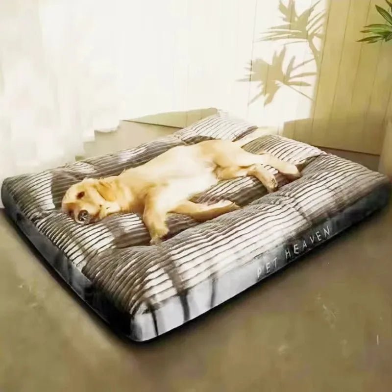 Warm and Cozy Dog Bed Collection - PetLiveliest - PetLiveliest - 中号 - 冬季 - 宠物用品