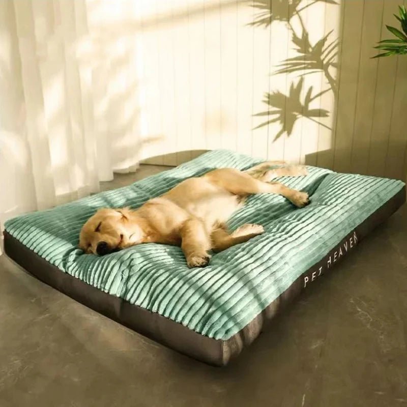 Warm and Cozy Dog Bed Collection - PetLiveliest - PetLiveliest