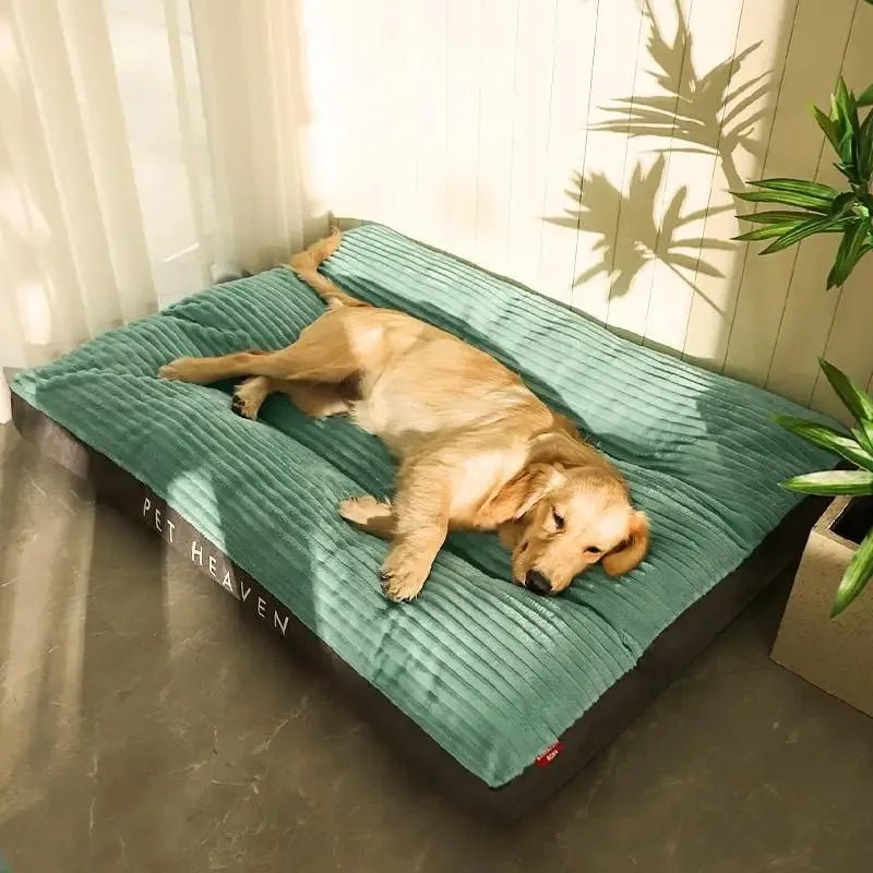 Warm and Cozy Dog Bed Collection - PetLiveliest - PetLiveliest