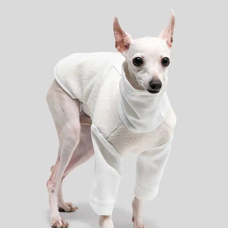 Warm Berber Fleece Jacket with High Neck - Perfect for Greyhound &amp; Whippet - PetLiveliest - PetLiveliest - Breathable - Portable - Waterproof