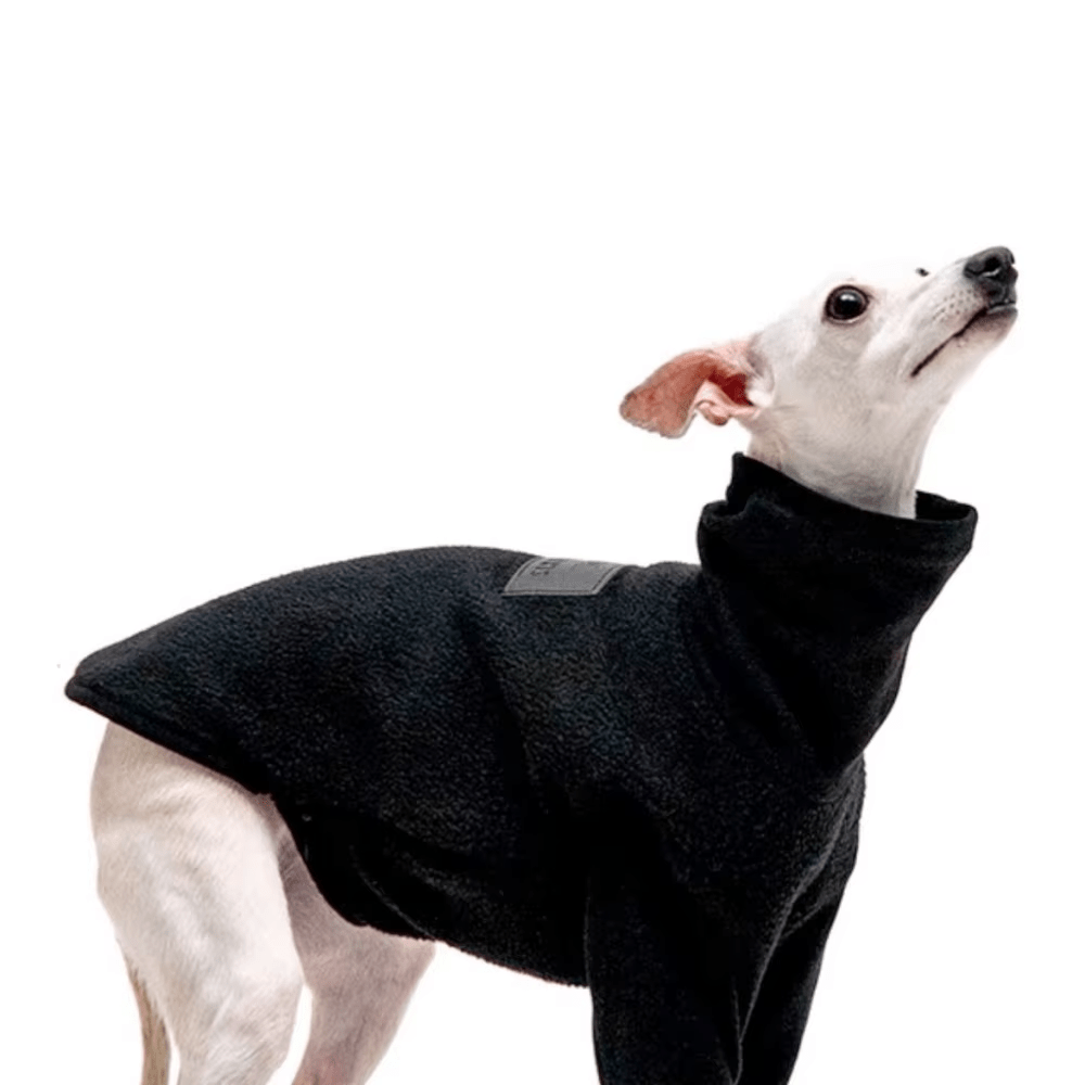 Warm Berber Fleece Jacket with High Neck - PetLiveliest - PetLiveliest