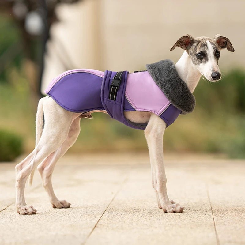 Warm Thicken Windproof Jacket with Harness Hole - PetLiveliest - PetLiveliest