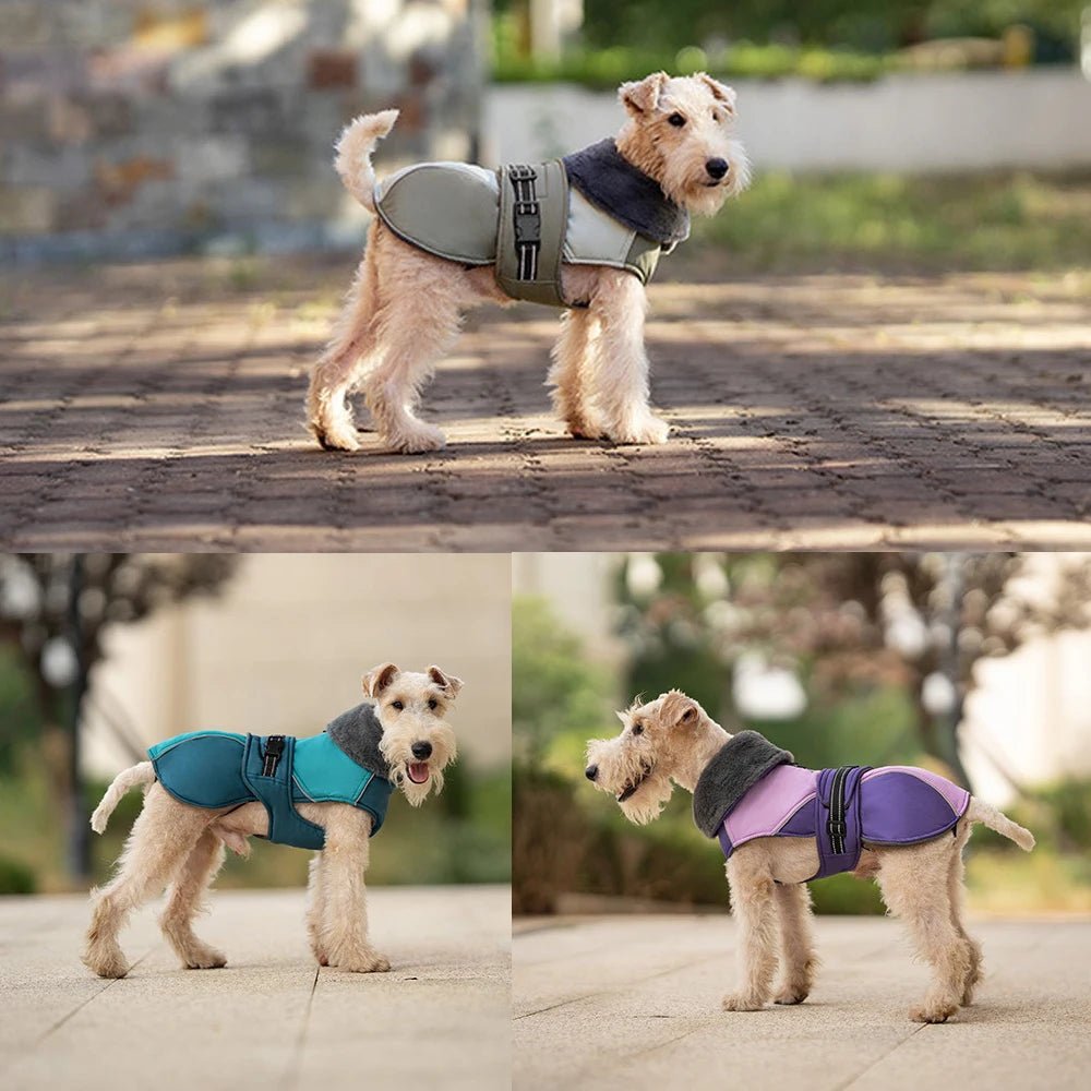 Warm Thicken Windproof Jacket with Harness Hole - PetLiveliest - PetLiveliest - 