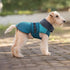 Warm Thicken Windproof Jacket with Harness Hole - PetLiveliest - PetLiveliest - 