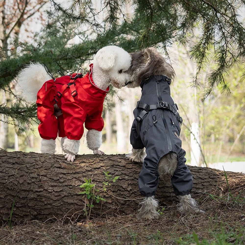 Waterproof Adjustable Reflective Raincoat with Harness - PetLiveliest - PetLiveliest - 