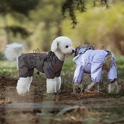 Waterproof Adjustable Reflective Raincoat with Harness - PetLiveliest - PetLiveliest - 