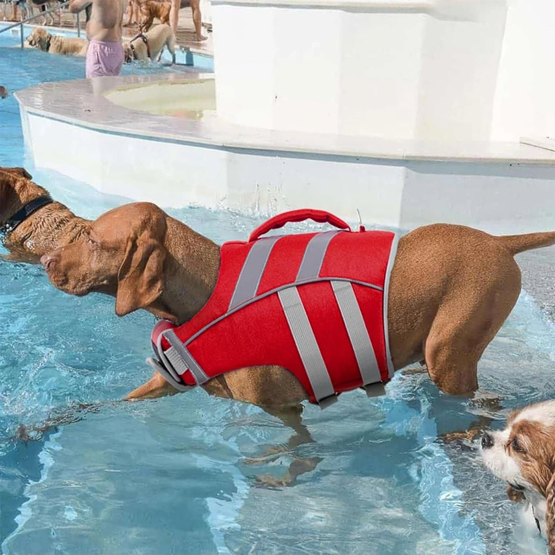 Waterproof Dog Life Jacket - PetLiveliest - PetLiveliest