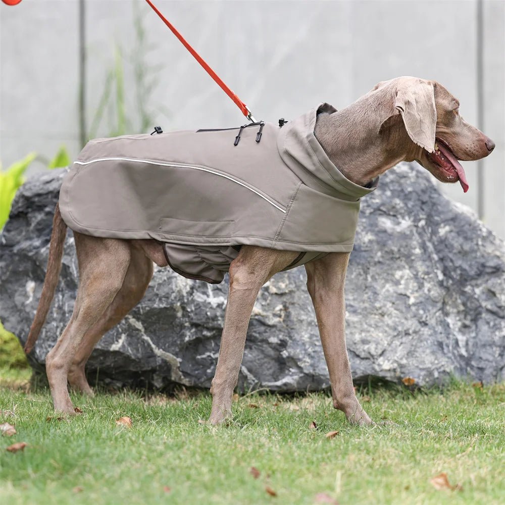 Waterproof Fleece Lining Soft Coat - PetLiveliest - PetLiveliest - 保暖 - 反光 - 大狗