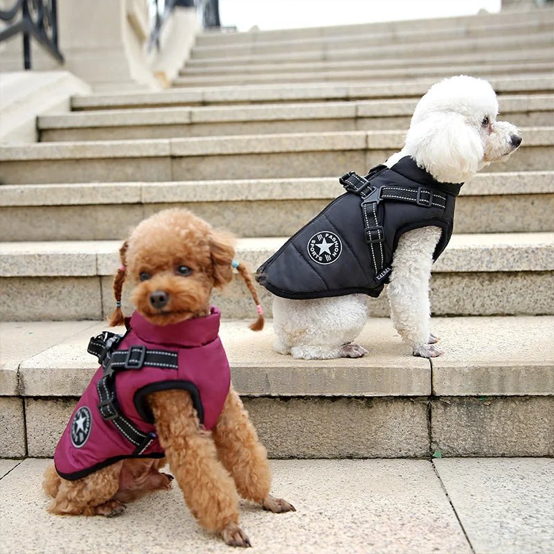 Waterproof Warm Jacket Vest with Harness - PetLiveliest - PetLiveliest