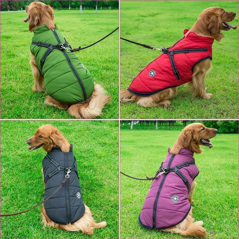 Waterproof Warm Dog Jacket Vest with Harness - PetLiveliest - PetLiveliest - 保暖 - 冬季服装 - 法斗