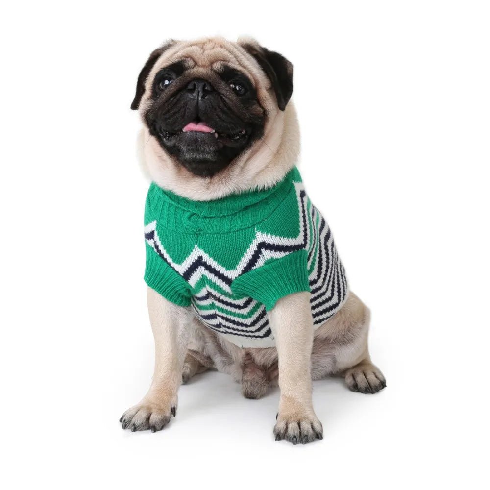 Wave Pattern Turtleneck Sweater - PetLiveliest - PetLiveliest - 