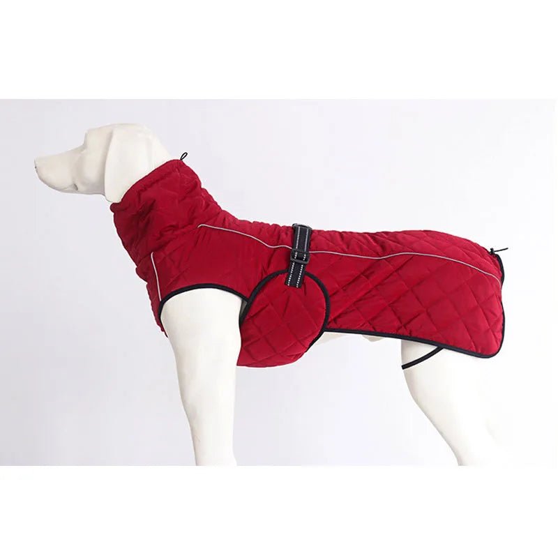 Winter Down Jacket for Medium to Large Dogs - PetLiveliest - PetLiveliest - 中大型犬 - 保温 - 反光设计