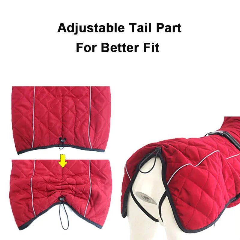 Winter Down Jacket for Medium to Large Dogs - PetLiveliest - PetLiveliest - 中大型犬 - 保温 - 反光设计