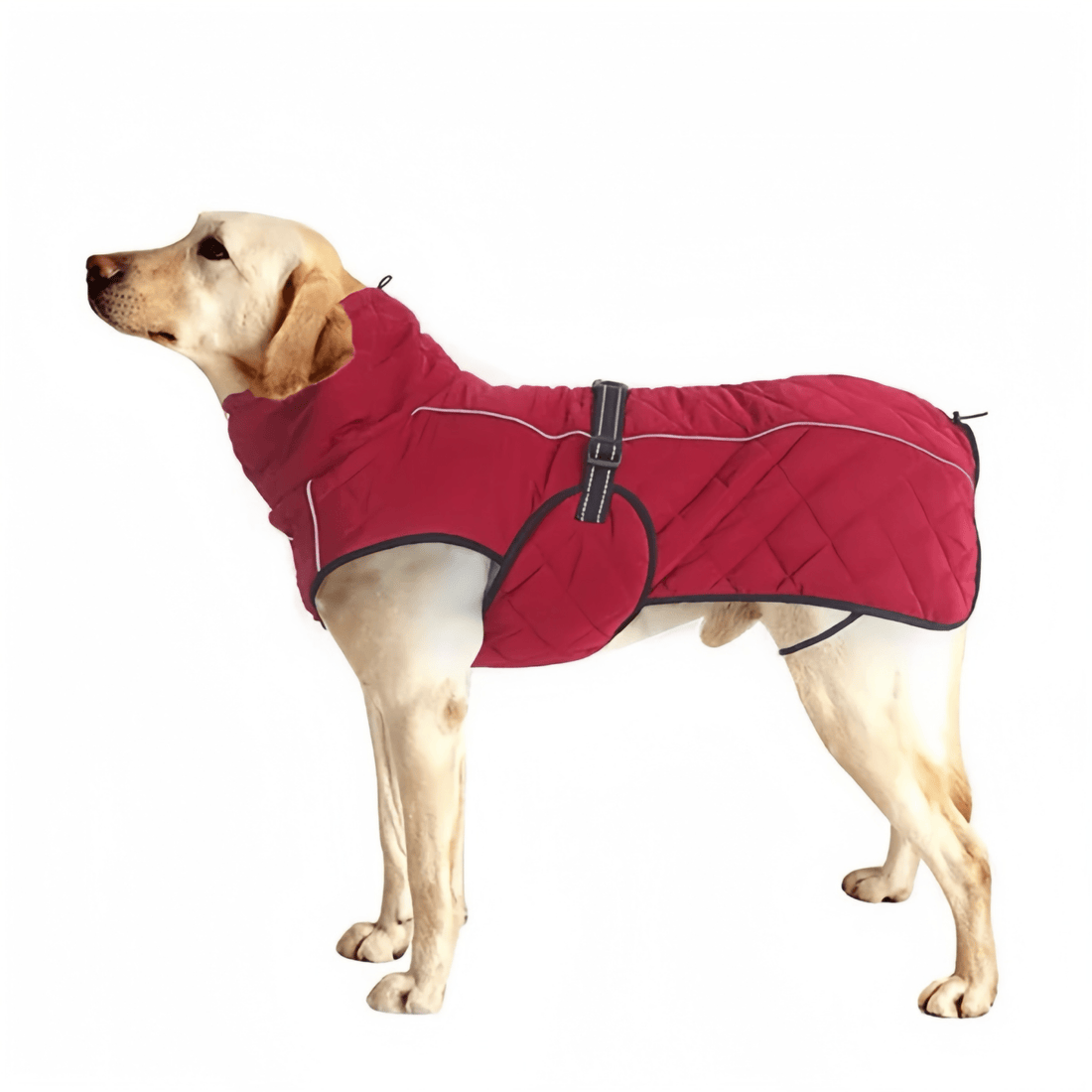 Winter Down Waterproof Dog Coat - PetLiveliest - PetLiveliest - 中大型犬 - 保温 - 反光设计