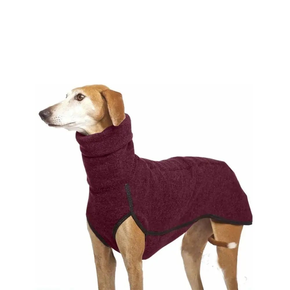 Winter High Collar Jumper Sweater for Medium and Big Dog - PetLiveliest - PetLiveliest - Dog - High Collar - Polyester