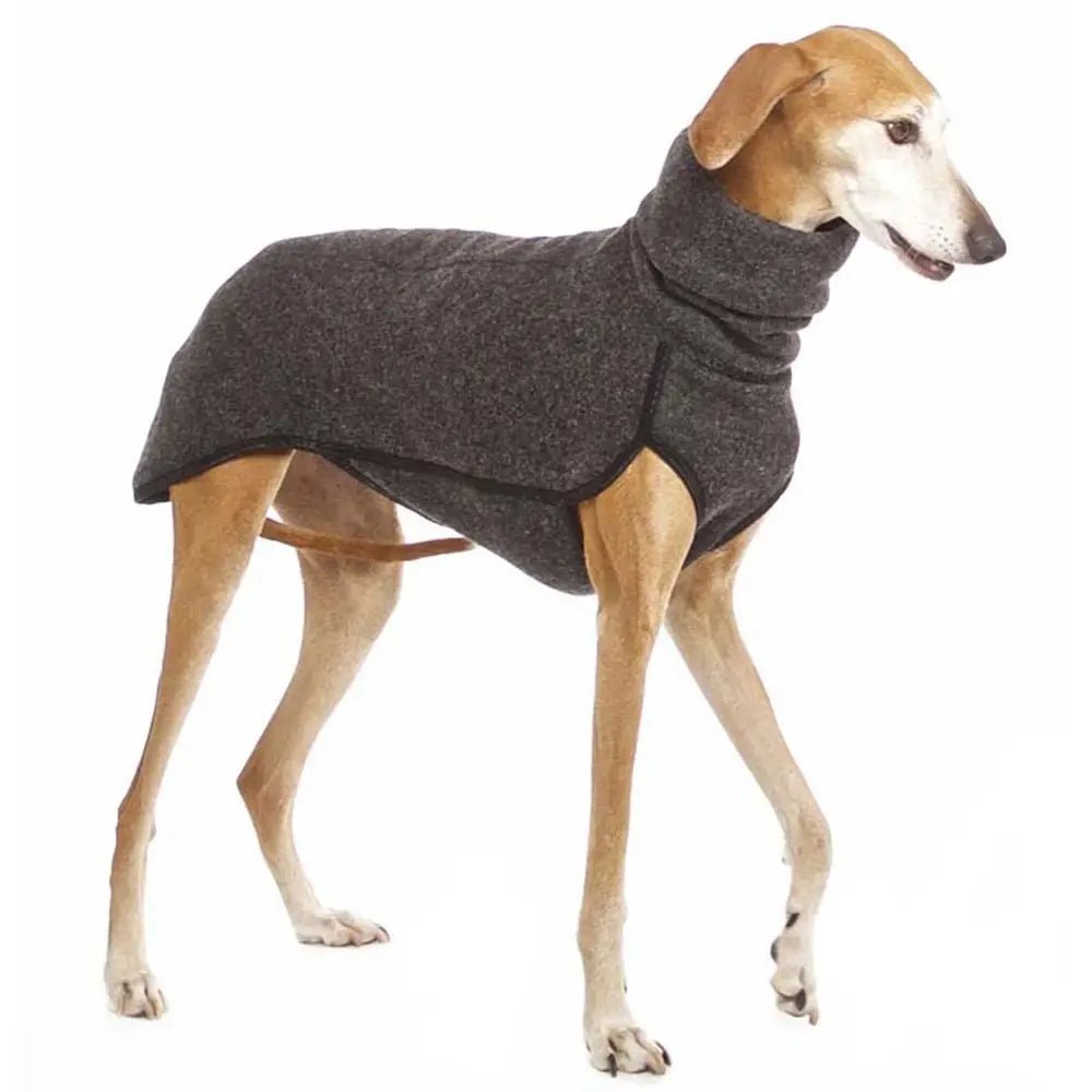 Winter High Collar Jumper Sweater for Medium and Big Dog - PetLiveliest - PetLiveliest - Dog - High Collar - Polyester