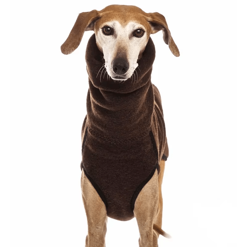 Winter High Collar Jumper Sweater - PetLiveliest - PetLiveliest