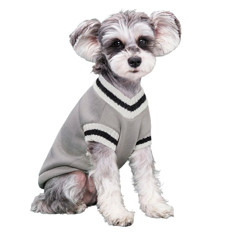 Winter Pet Dog Sweater - College Style V - Neck Vest - PetLiveliest - PetLiveliest - Dog Sweater - Pet Apparel - Preppy Style