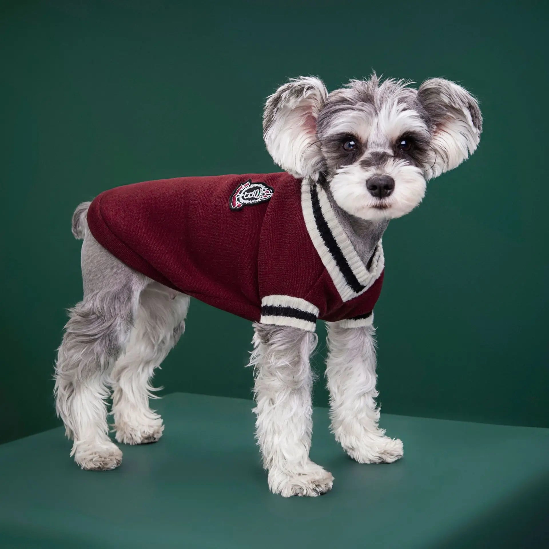 Winter Pet Dog Sweater - College Style V - Neck Vest - PetLiveliest - PetLiveliest - Dog Sweater - Pet Apparel - Preppy Style