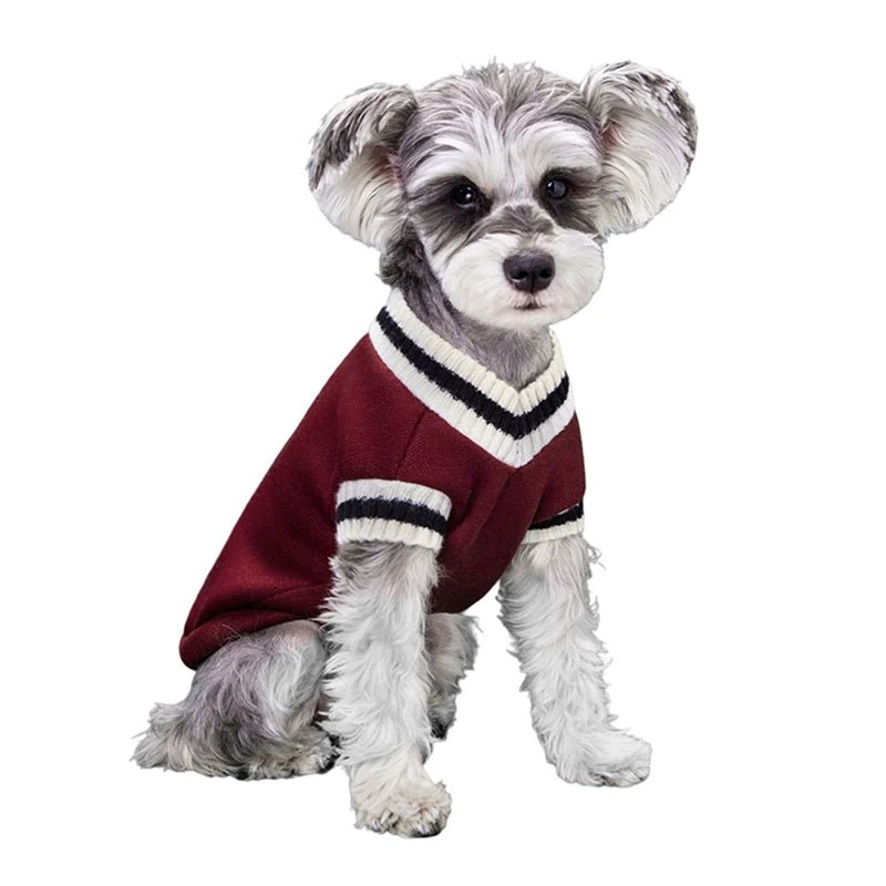 College Style V - Neck Sweater - PetLiveliest - PetLiveliest