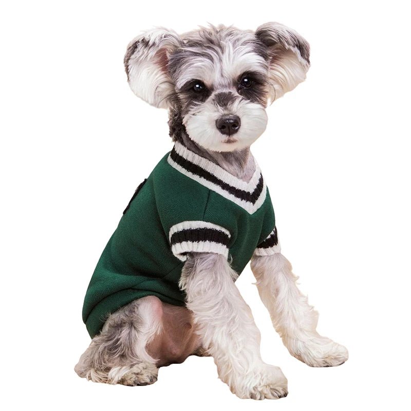 College Style V - Neck Sweater - PetLiveliest - PetLiveliest