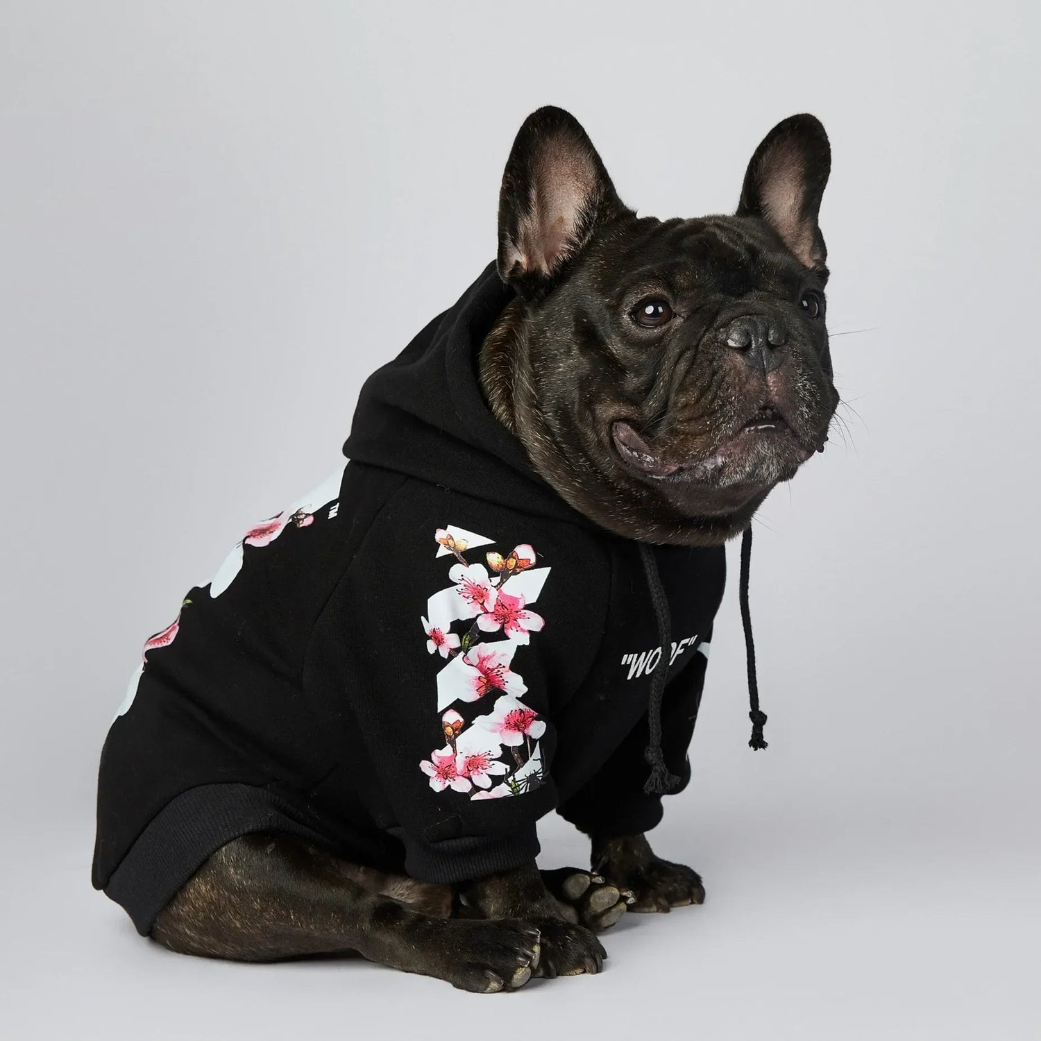 Winter Sakura Dog Jacket - Fashion Pet Hoodies - PetLiveliest - PetLiveliest - 中号 - 冬季 - 大号