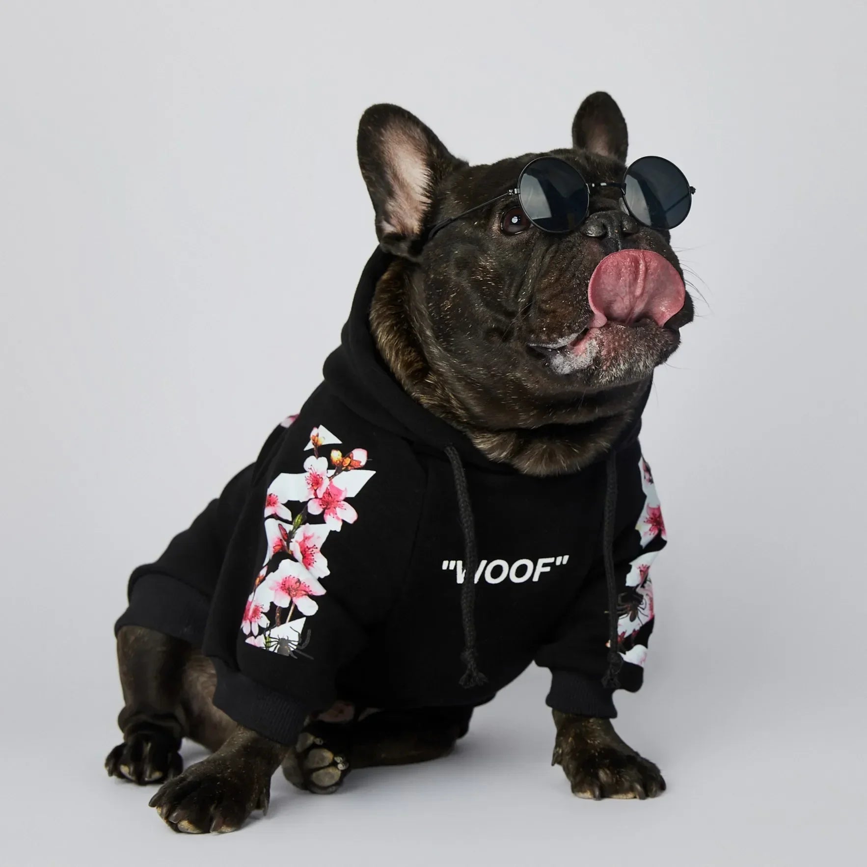 Winter Sakura Dog Jacket - Fashion Pet Hoodies - PetLiveliest - PetLiveliest - 中号 - 冬季 - 大号