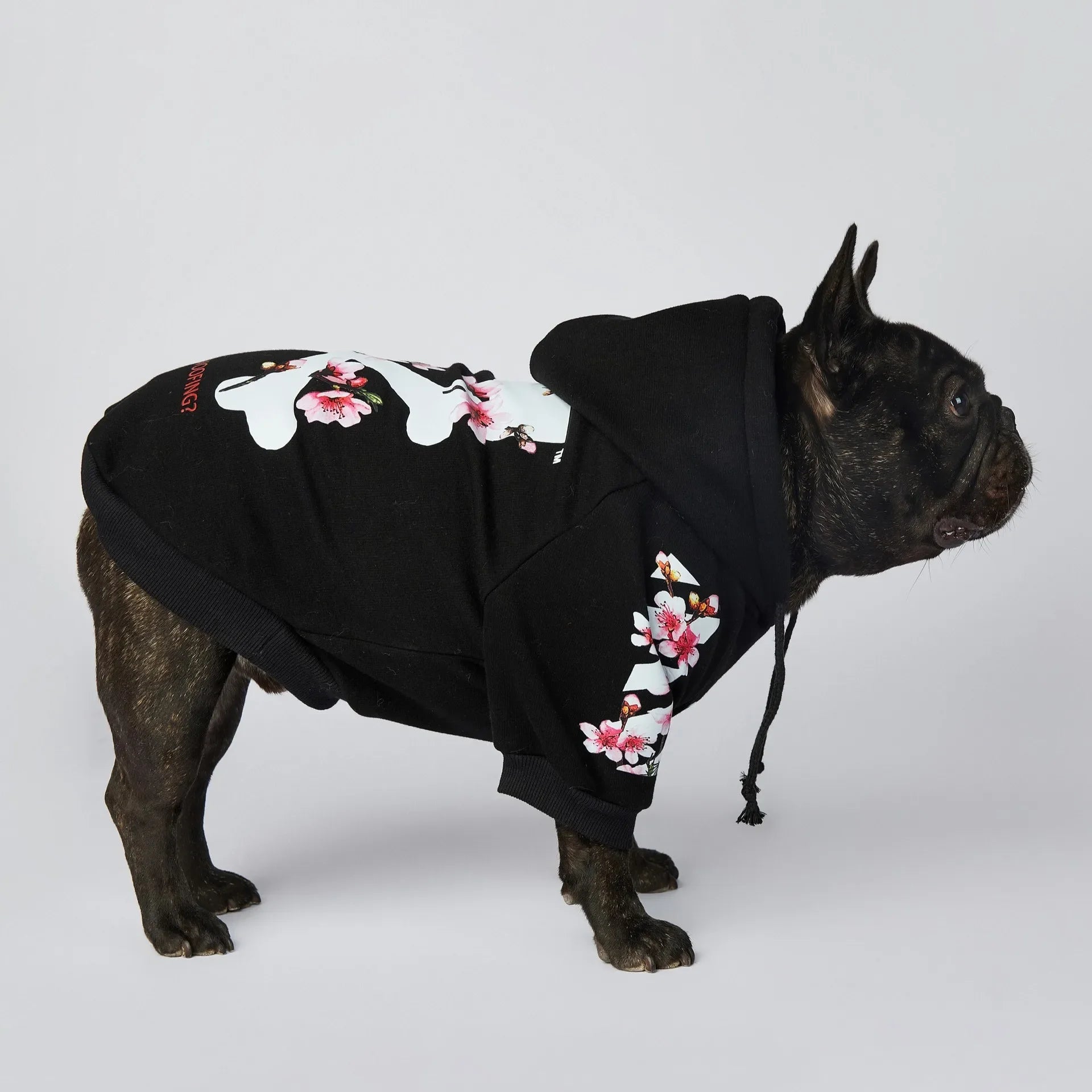 Winter Sakura Dog Jacket - Fashion Pet Hoodies - PetLiveliest - PetLiveliest - 中号 - 冬季 - 大号