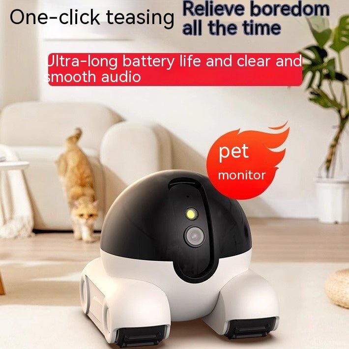 Wireless Pet Surveillance Camera - PetLiveliest - PetLiveliest - 云存储 - 夜视 - 宠物监控