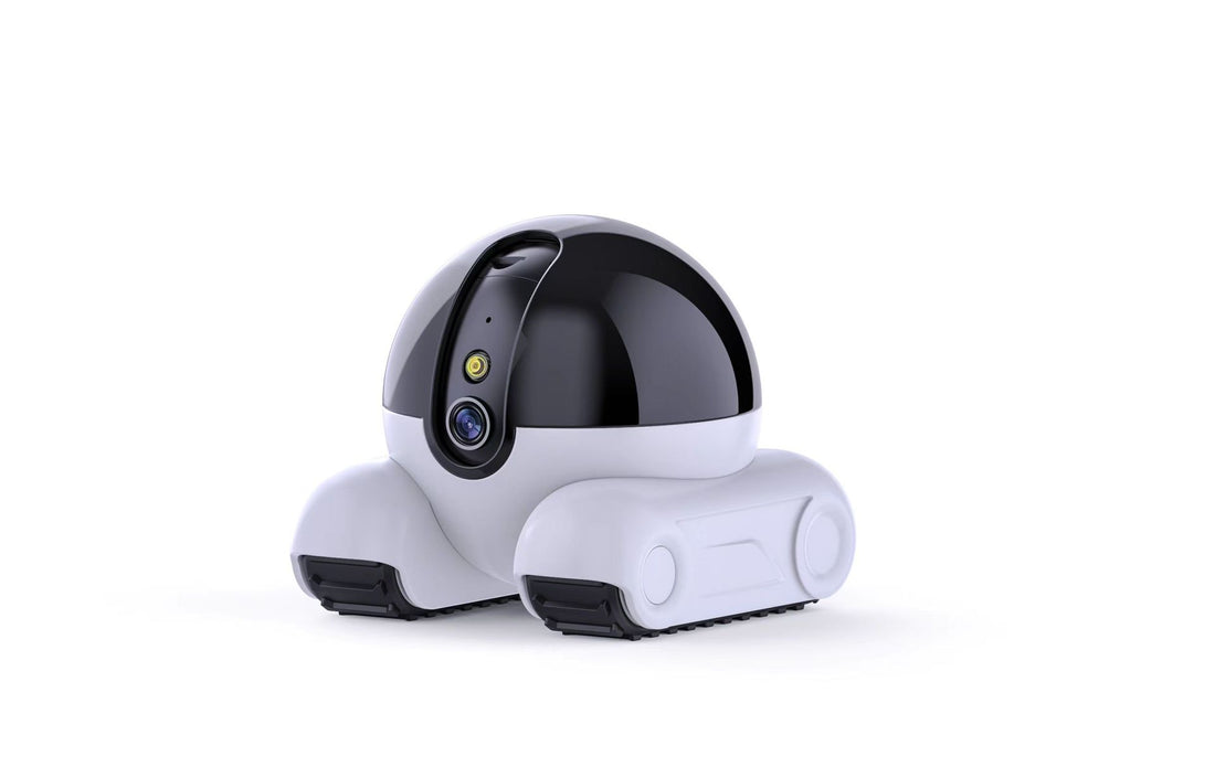 Wireless Pet Surveillance Camera - PetLiveliest - PetLiveliest